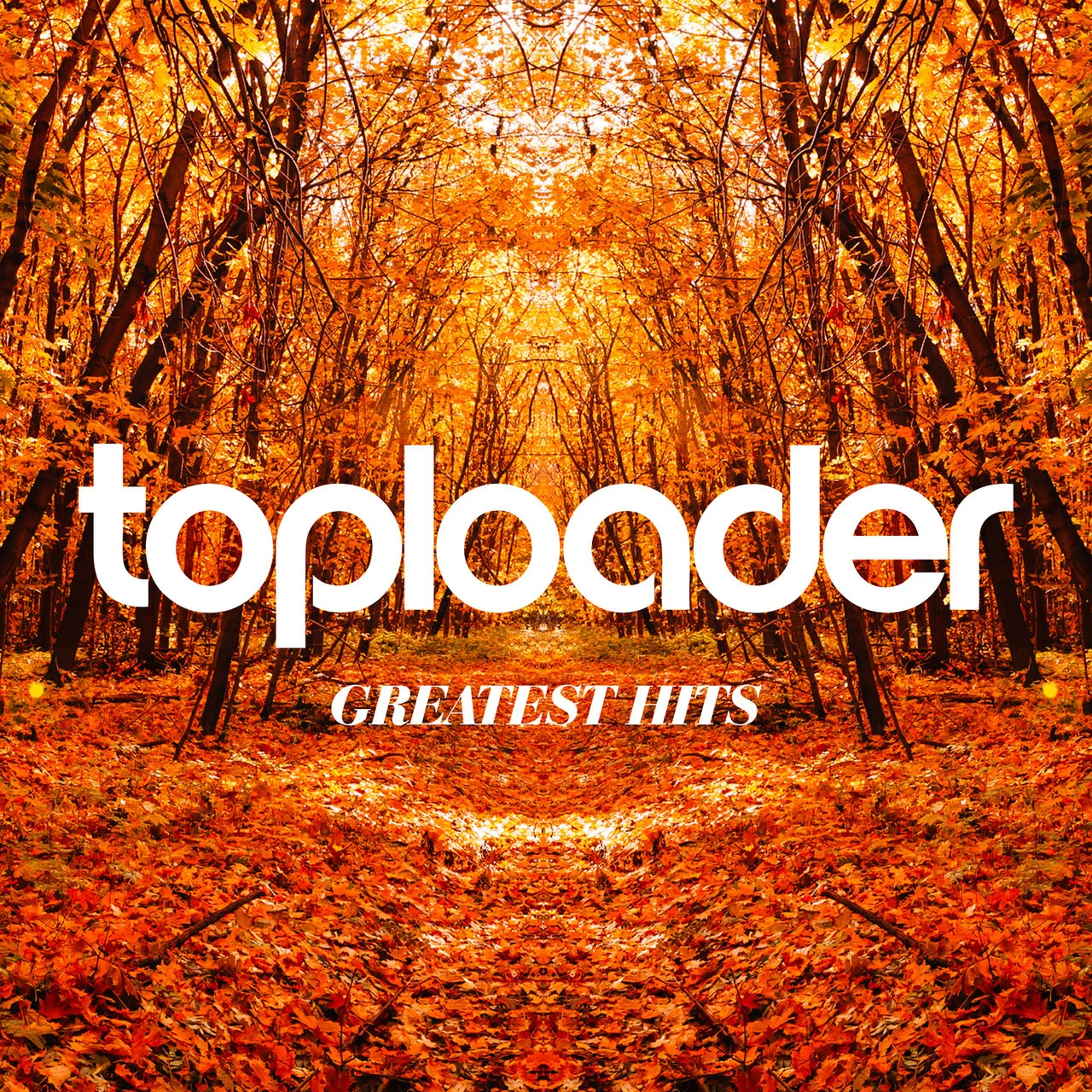 Official album cover art for the release Greatest Hits by Toploader