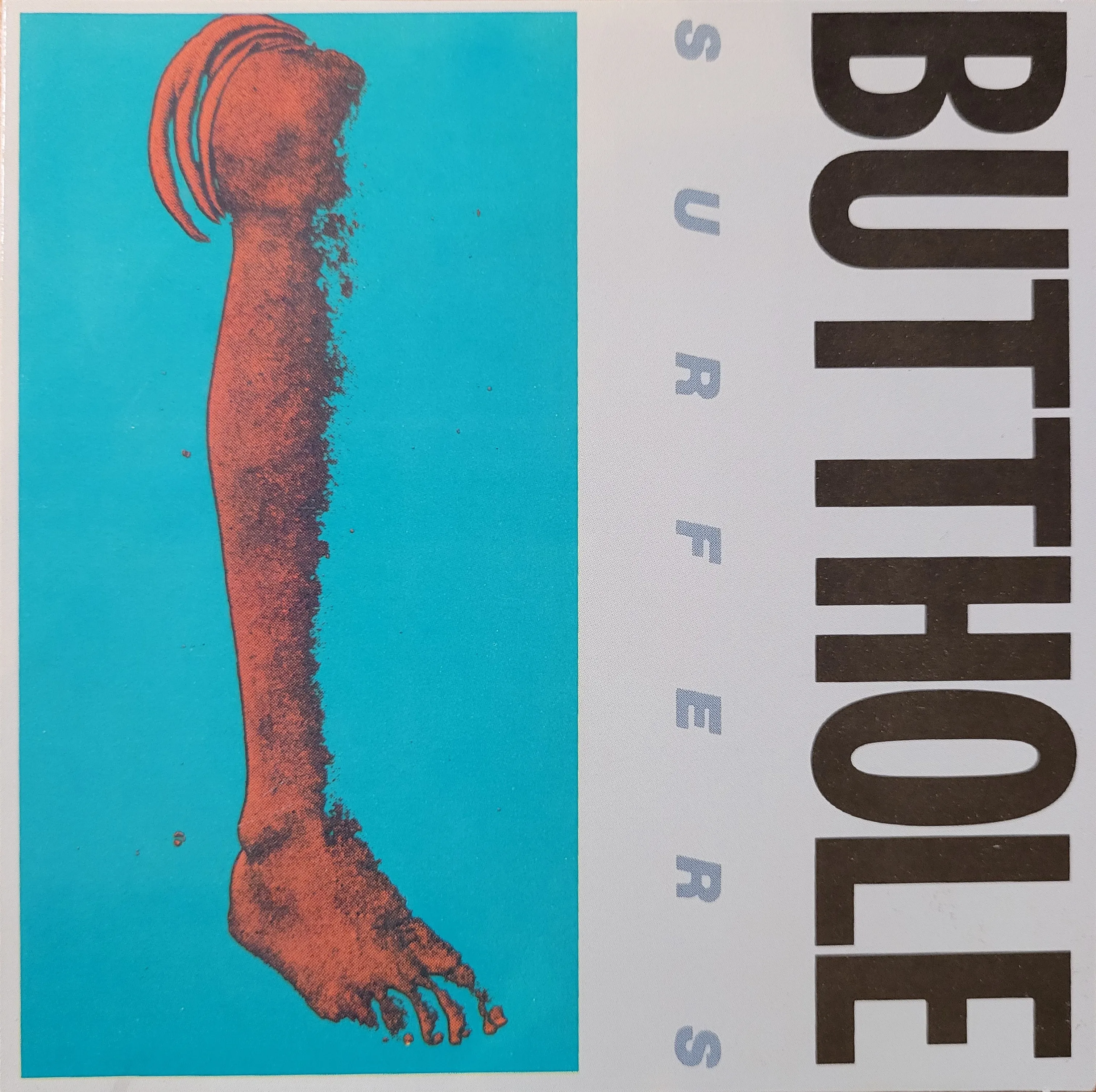 Rembrandt Pussyhorse / Cream Corn From the Socket of Davis