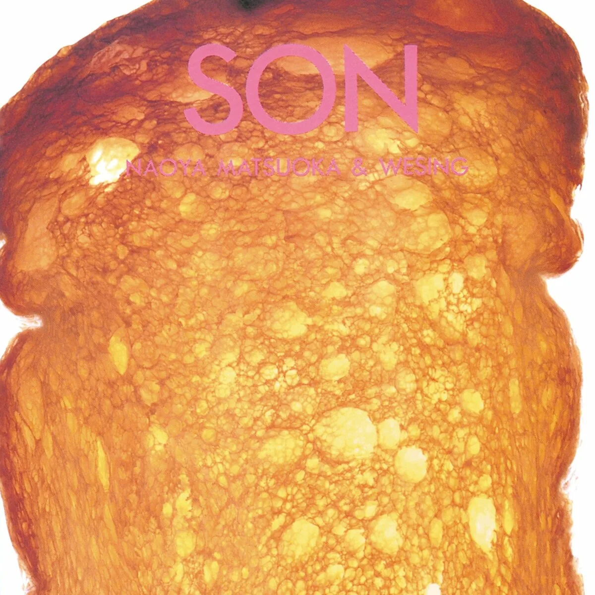 Official album cover art for the release SON by Wesing