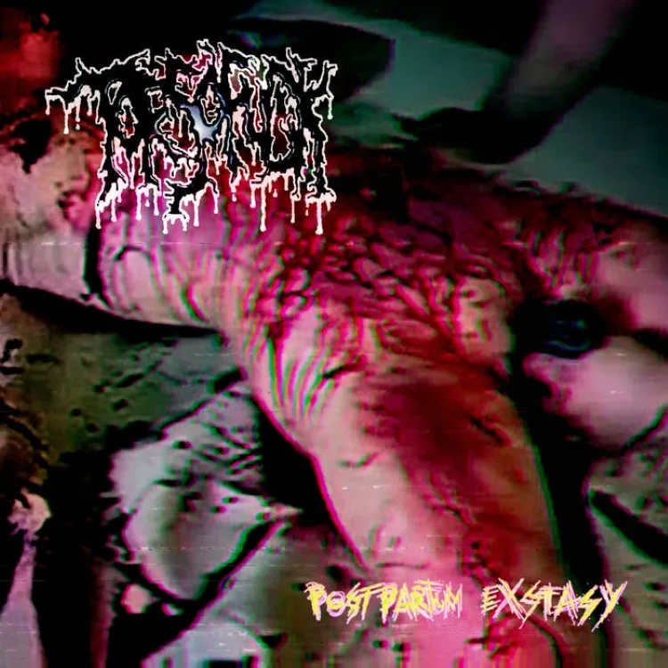 Official album cover art for the release Postpartum Exstasy by Torsofuck