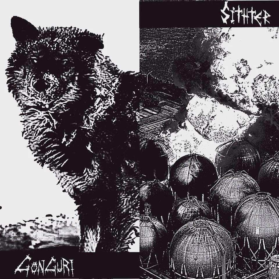 Official album cover art for the release Gonguri / Sithter by Sithter