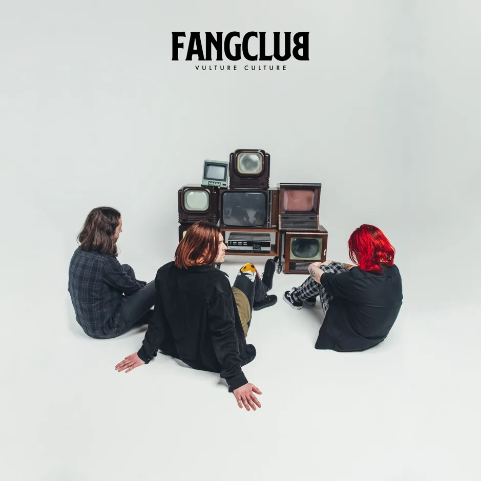 Official album cover art for the release Vulture Culture by Fangclub