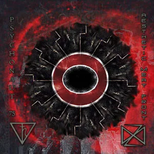 Official album cover art for the release Demonium of the Earth / Bird of Oblivion, an Incantation of Fire by Psychonaut 75
