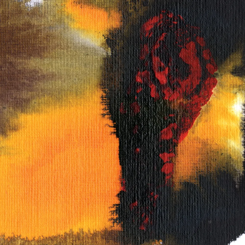 Official album cover art for the release Same as You by Polar Bear