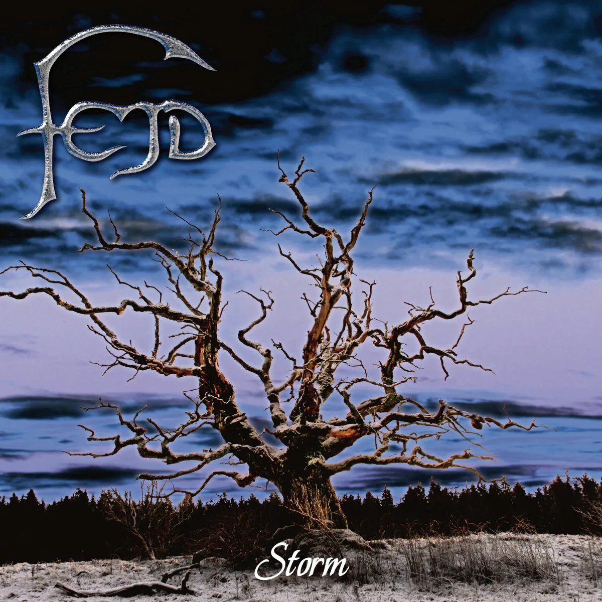 Official album cover art for the release Storm by Fejd