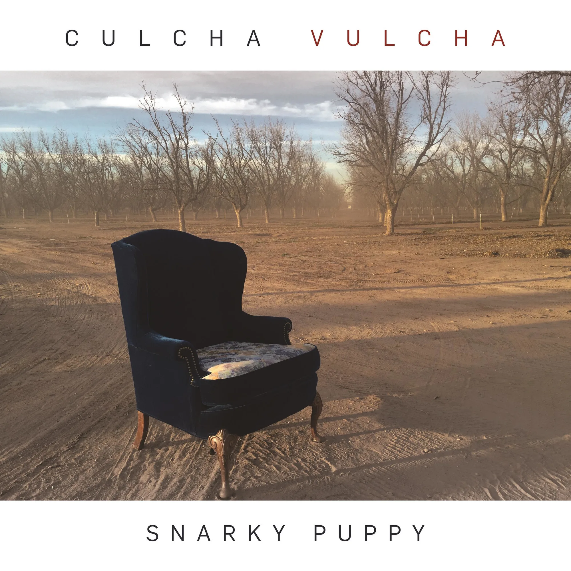 Official album cover artwork for Culcha Vulcha by Snarky Puppy