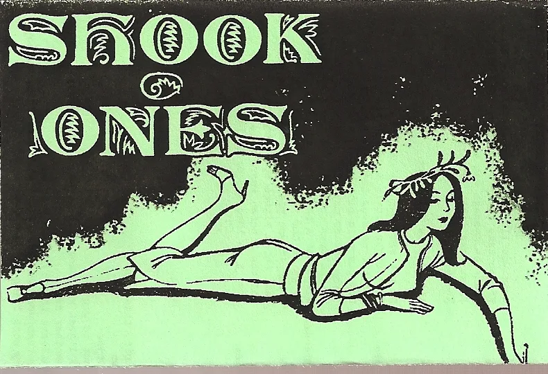 Official album cover art for the release Demo 2004 by Shook Ones