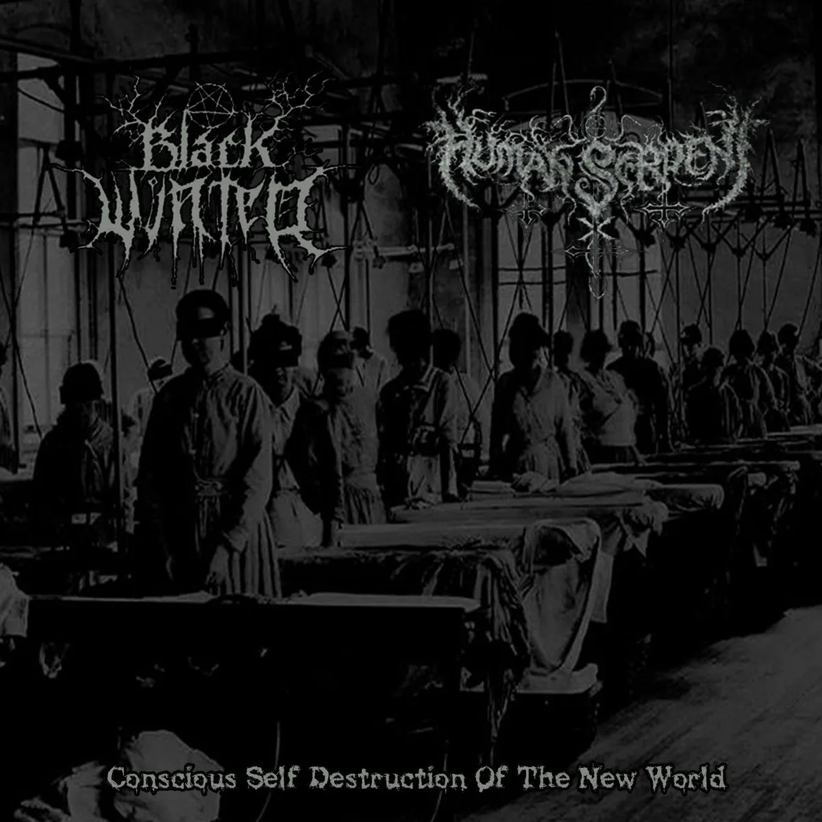 Official album cover artwork for Conscious Self Destruction of the New World by Black Winter
