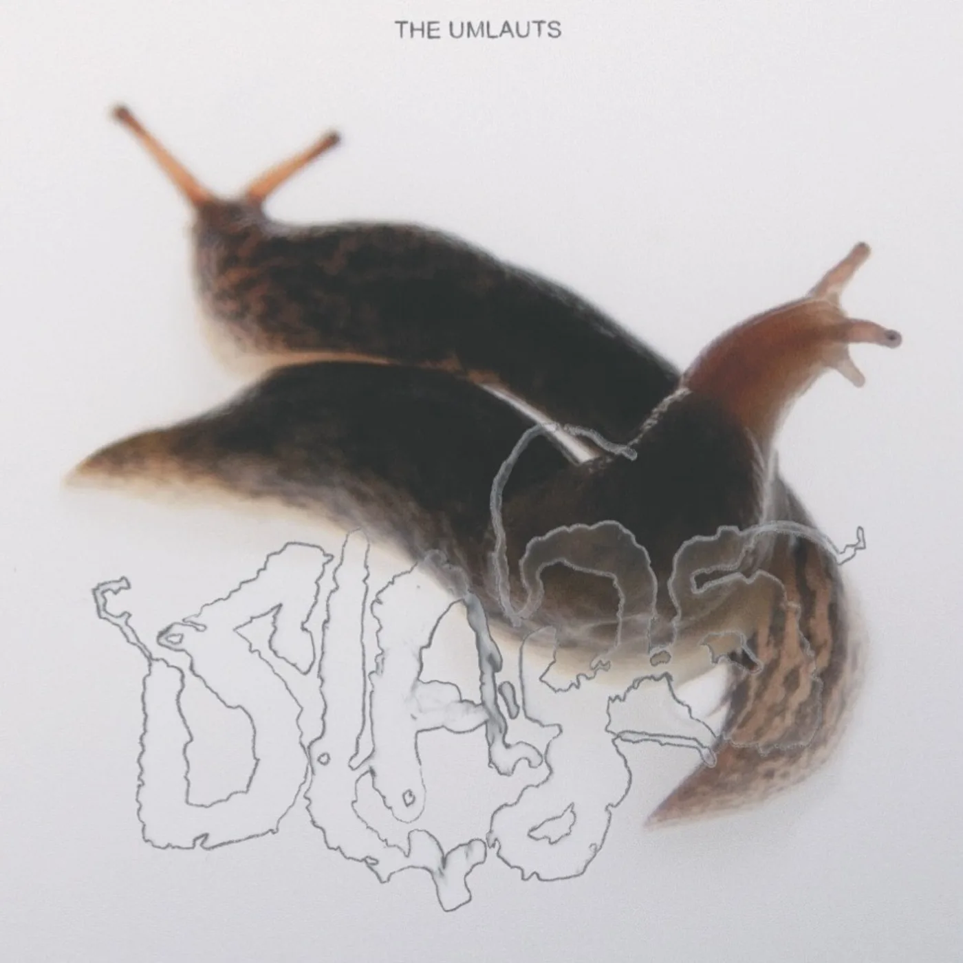 Official album cover art for the release Slags by The Umlauts