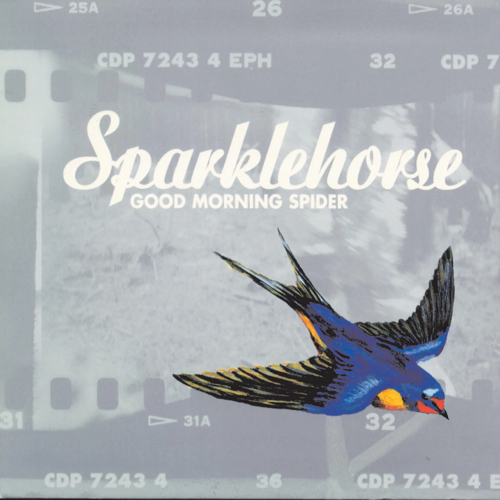 Official album cover art for the release Good Morning Spider by Sparklehorse