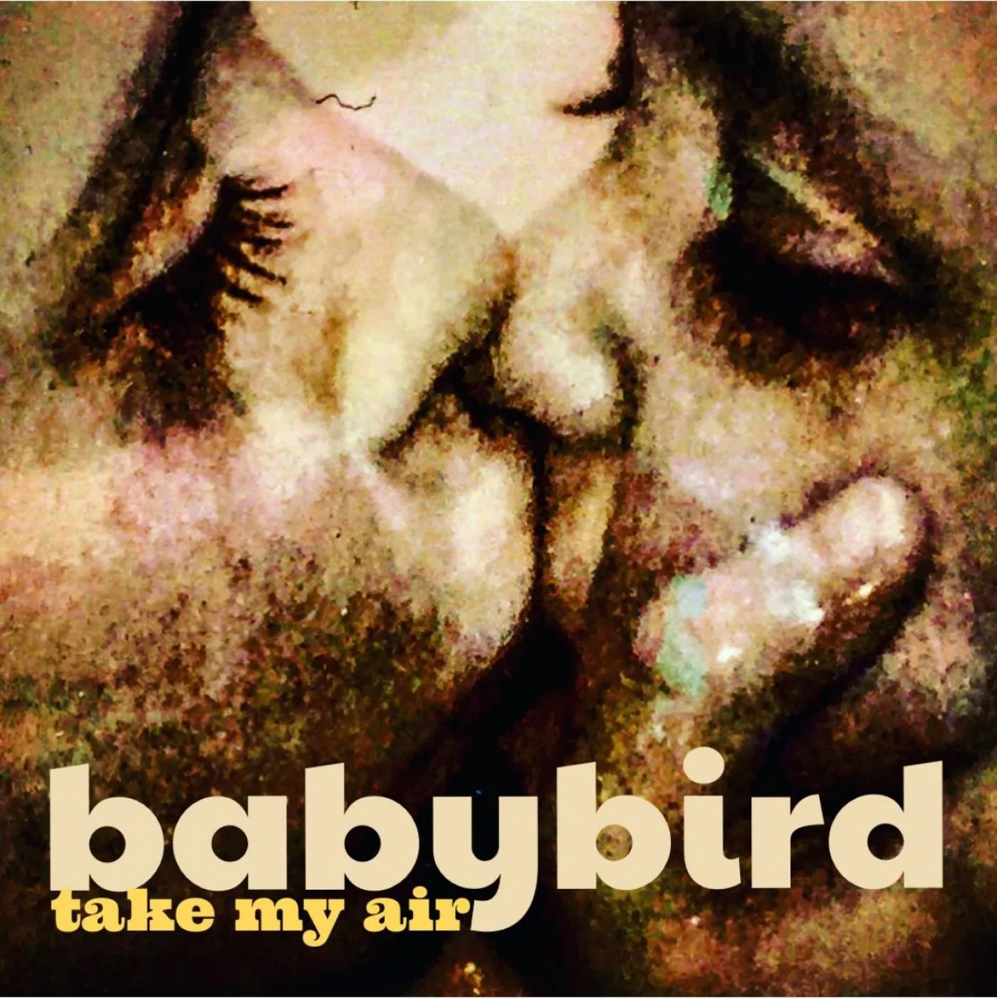 Official album cover art for the release Take My Air by Babybird