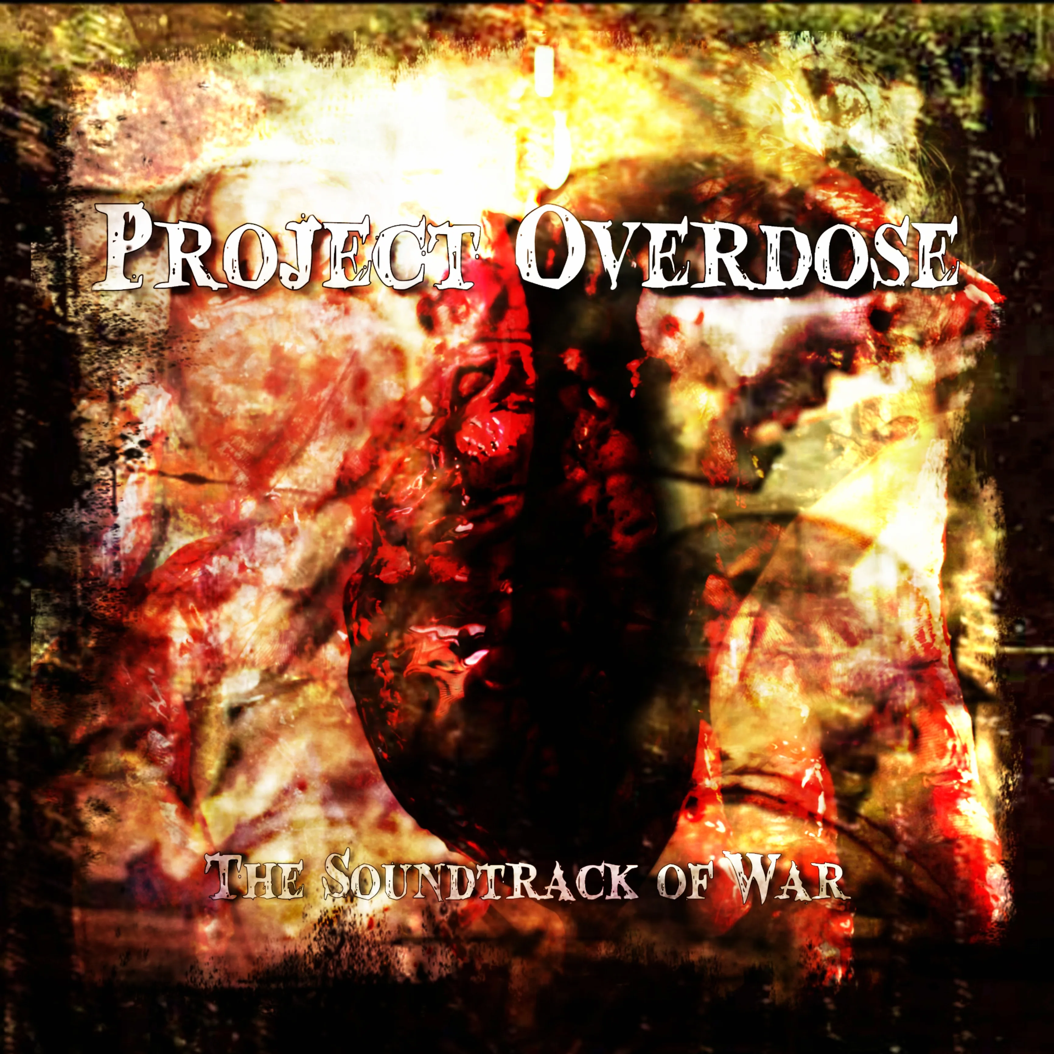 Official album cover art for the release The Soundtrack of War by Project Overdose