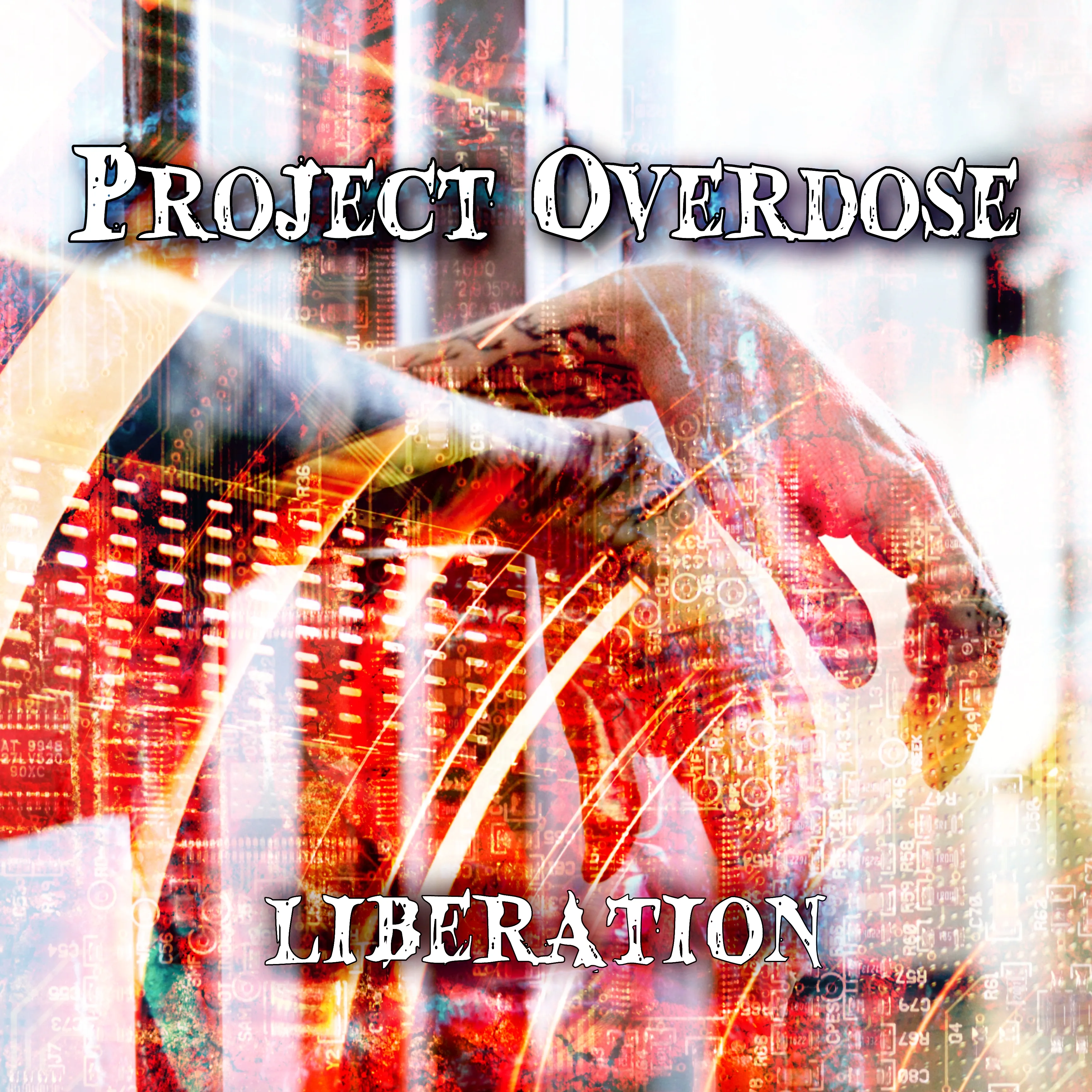 Official album cover art for the release Liberation by Project Overdose