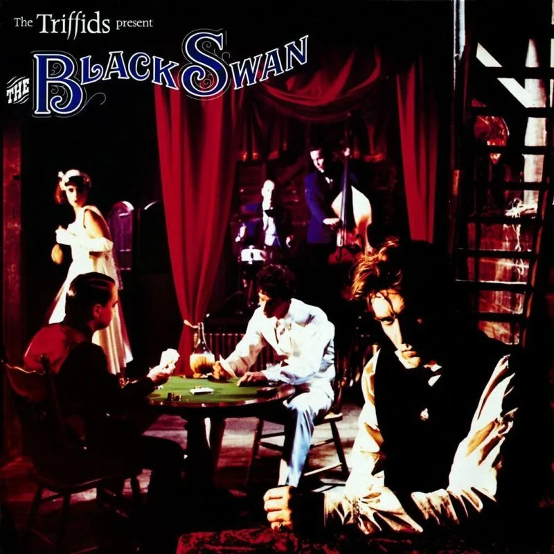 Official album cover art for the release The Black Swan by The Triffids