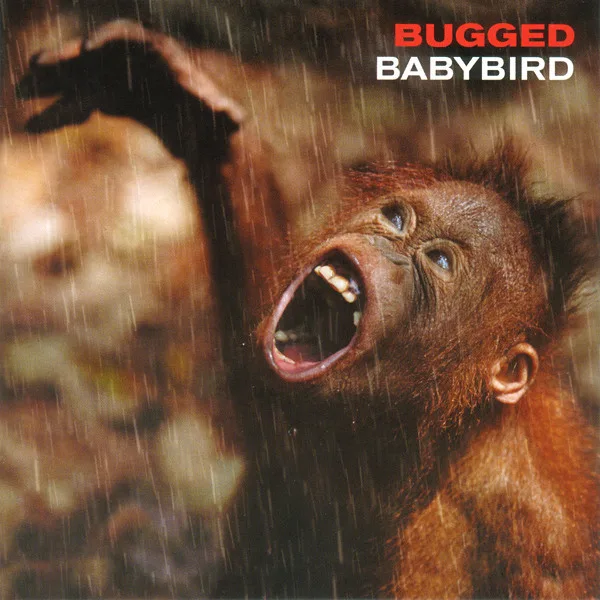 Official album cover art for the release Bugged by Babybird