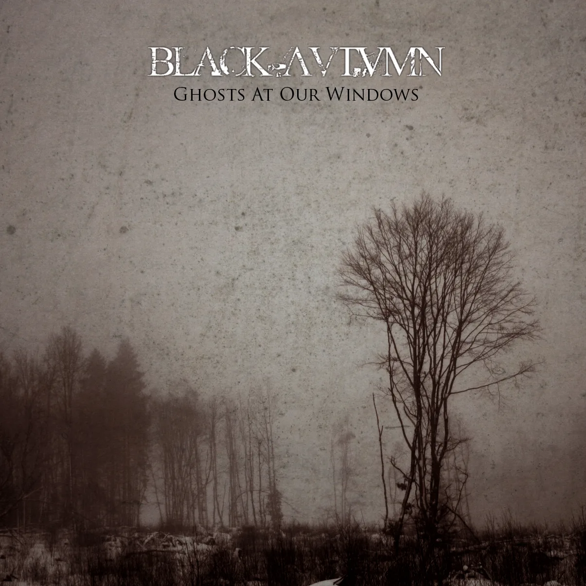 Official album cover art for the release Ghosts at Our Windows by Black Autumn
