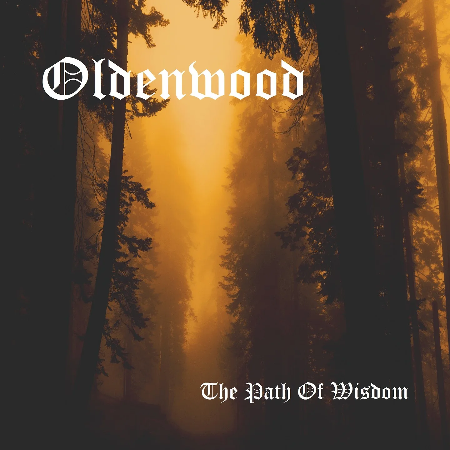 The Path of Wisdom