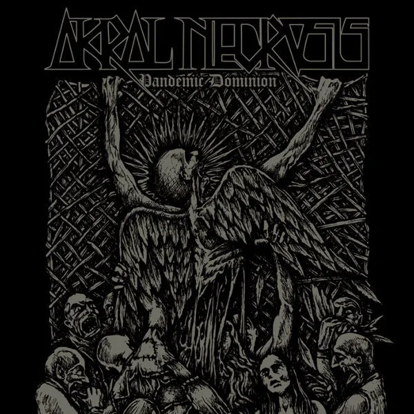 Official album cover art for the release Pandemic Dominion by Akral Necrosis