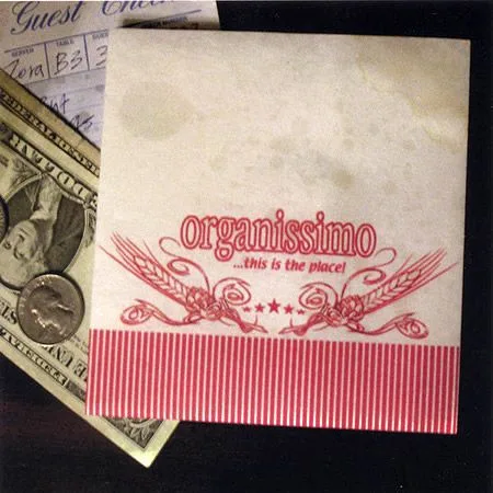 Official album cover art for the release This Is the Place by organissimo