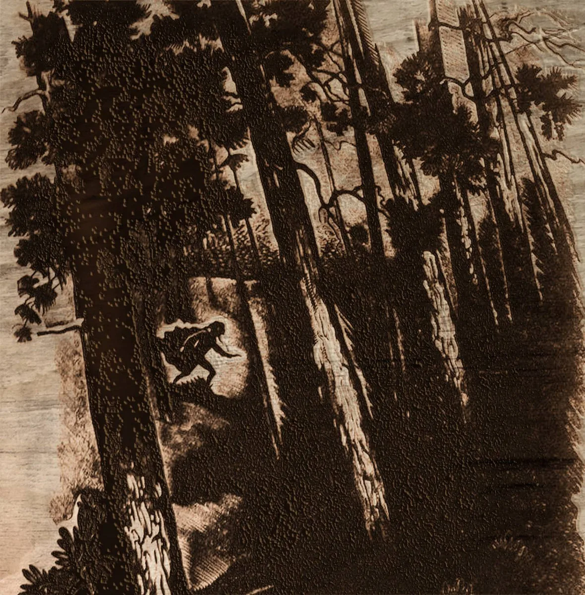 Official album cover art for the release O turniach, jeziorach i nocnych szlakach by Wędrujący Wiatr
