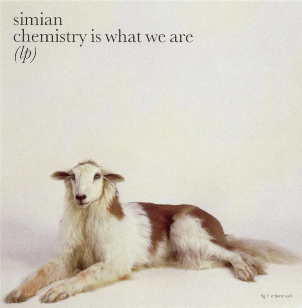 Official album cover art for the release Chemistry Is What We Are by Simian