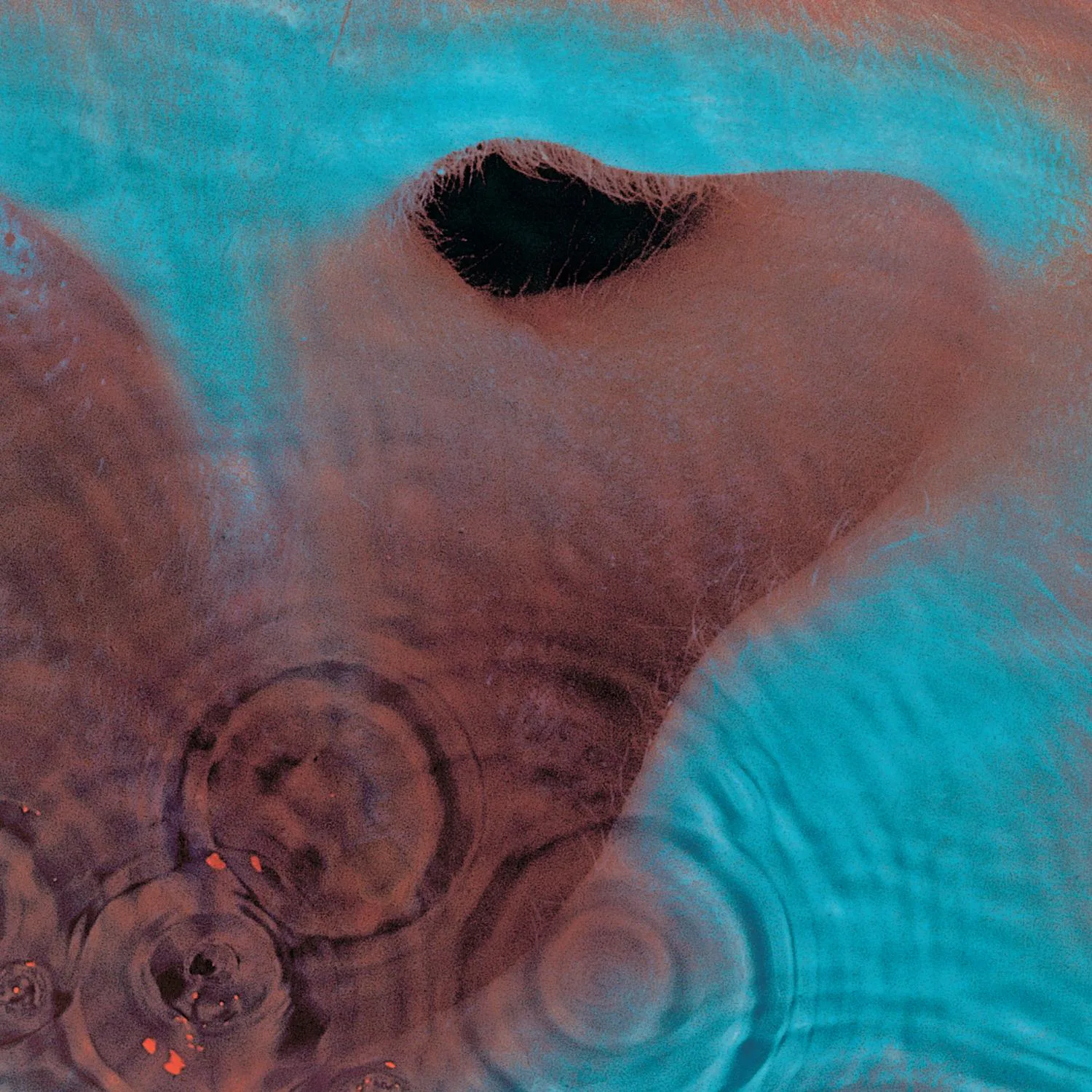 Echoes song track artwork featured on the album Meddle by Pink Floyd