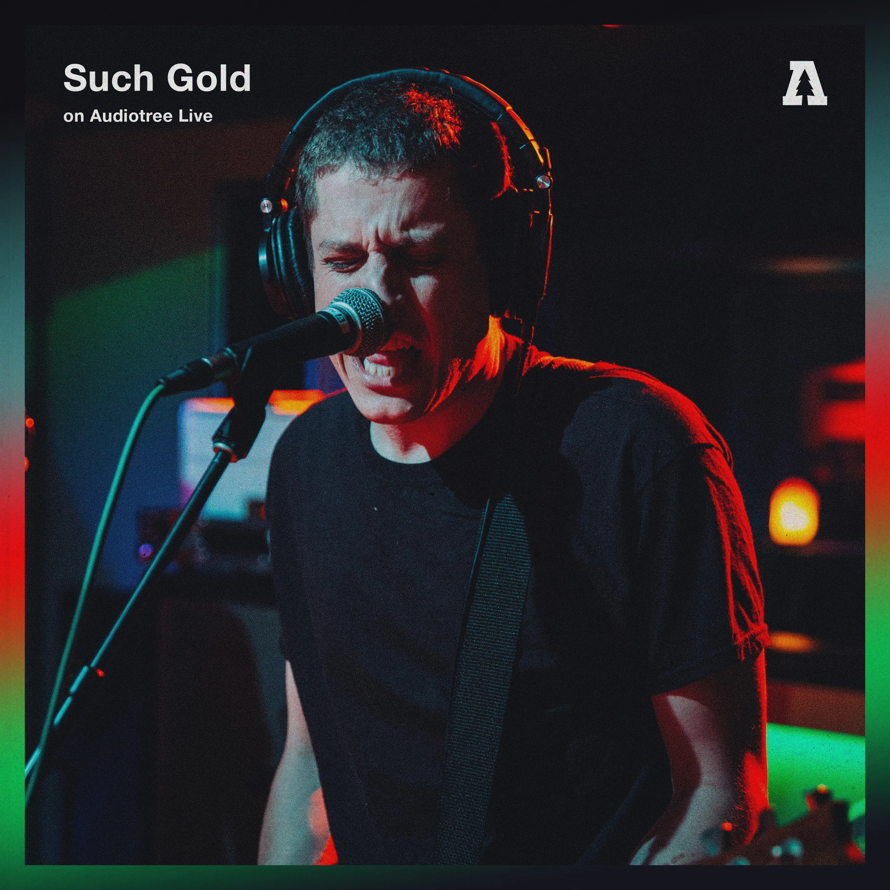 Official album cover art for the release Audiotree Live #2 by Such Gold