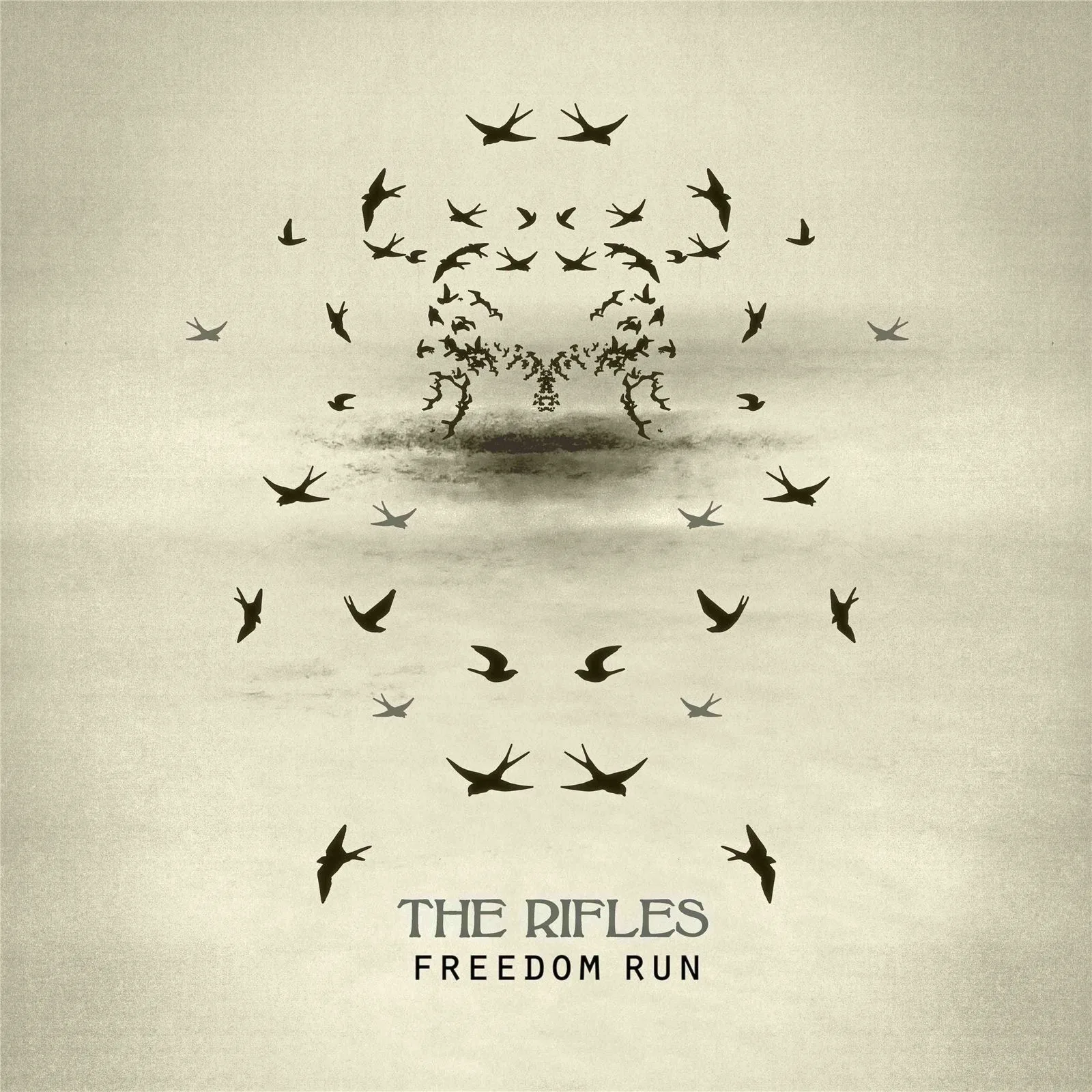 Official album cover art for the release Freedom Run by The Rifles