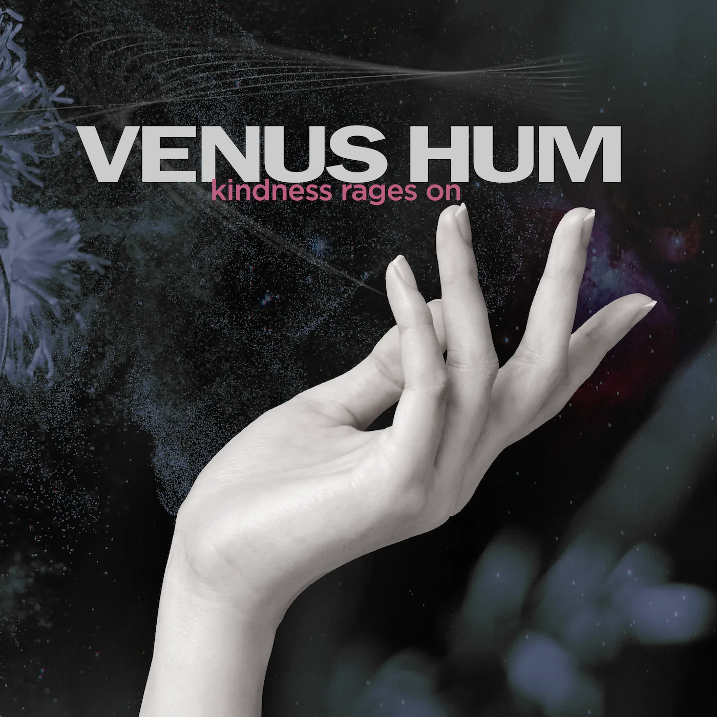 Official album cover art for the release Kindness Rages On by Venus Hum