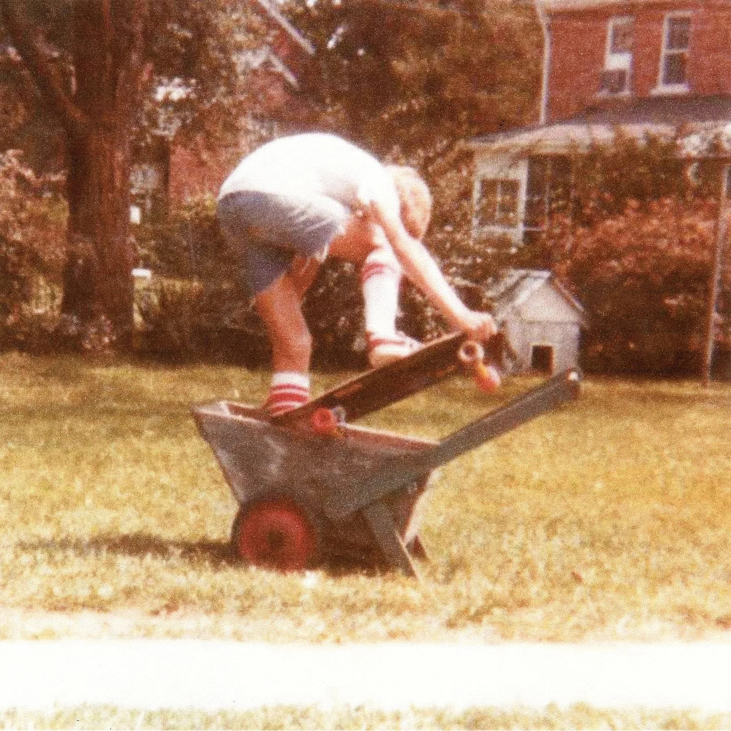 Official album cover art for the release Wavves by Wavves