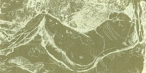 The Whys And Hows Of Herman Düne And Cerberus Shoal