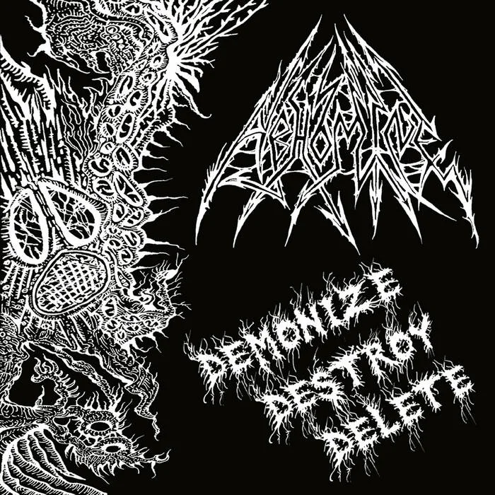 Official album cover art for the release Demonize Destroy Delete by Abhomine