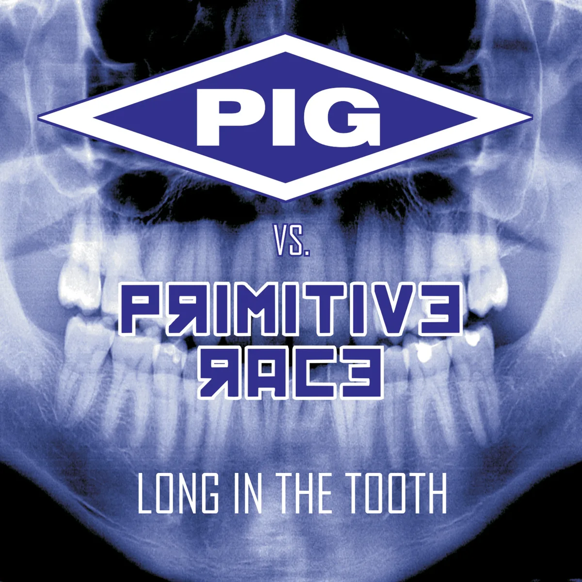 Official album cover art for the release Long in the Tooth by Primitive Race