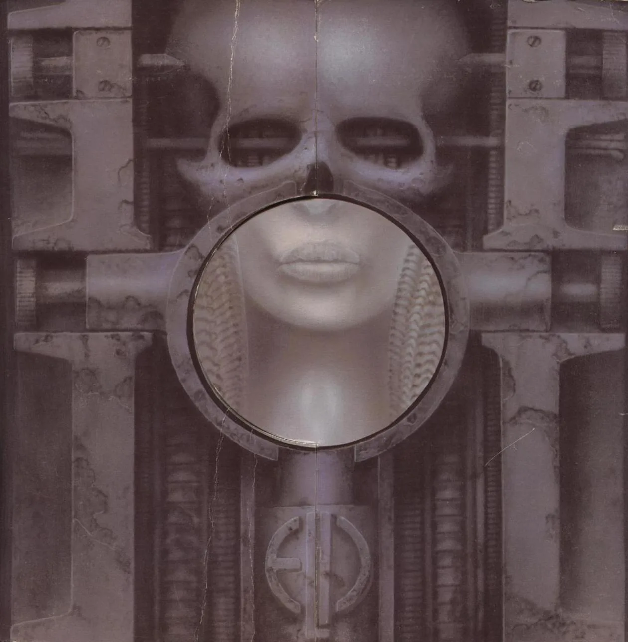 Brain Salad Surgery