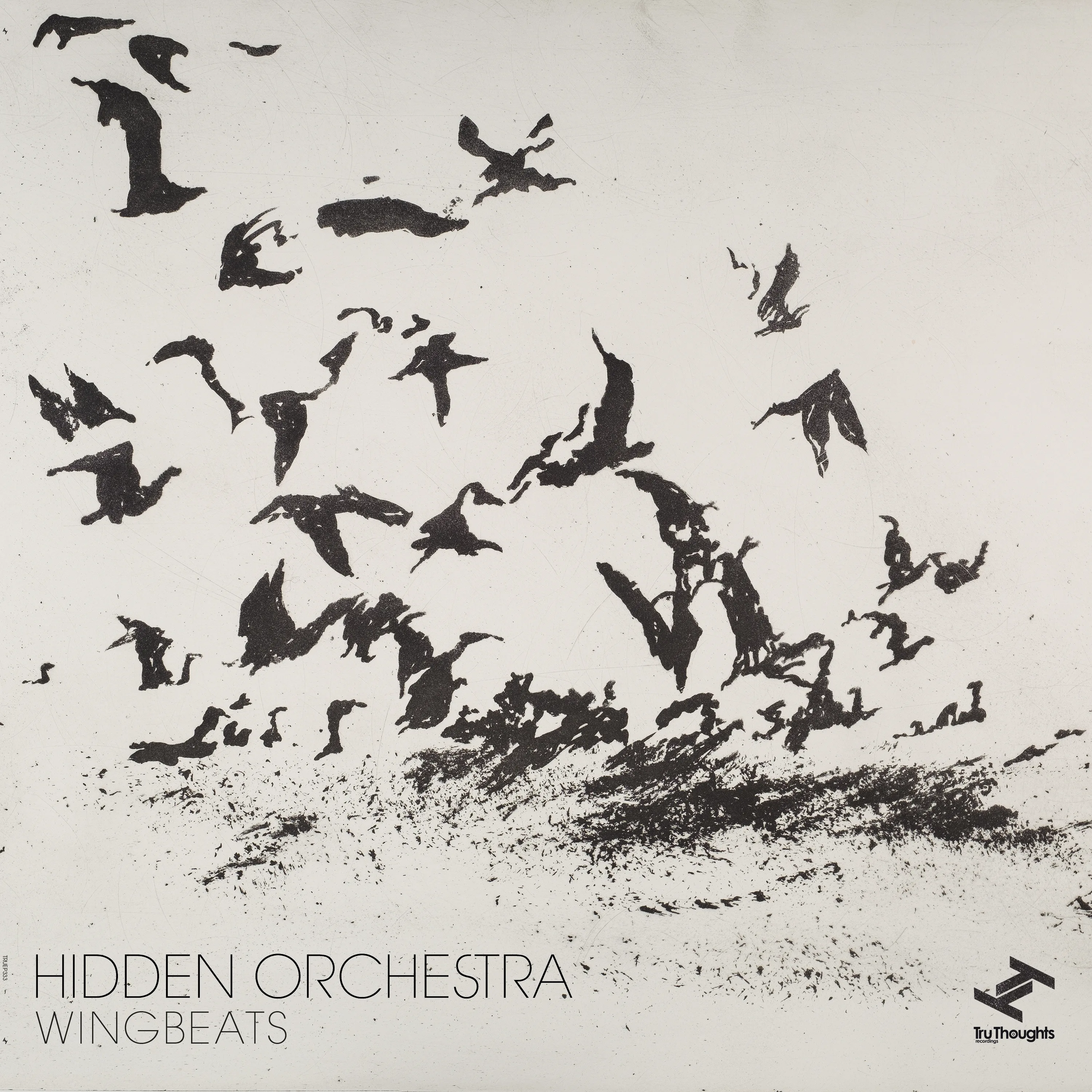Official album cover artwork for Wingbeats by Hidden Orchestra
