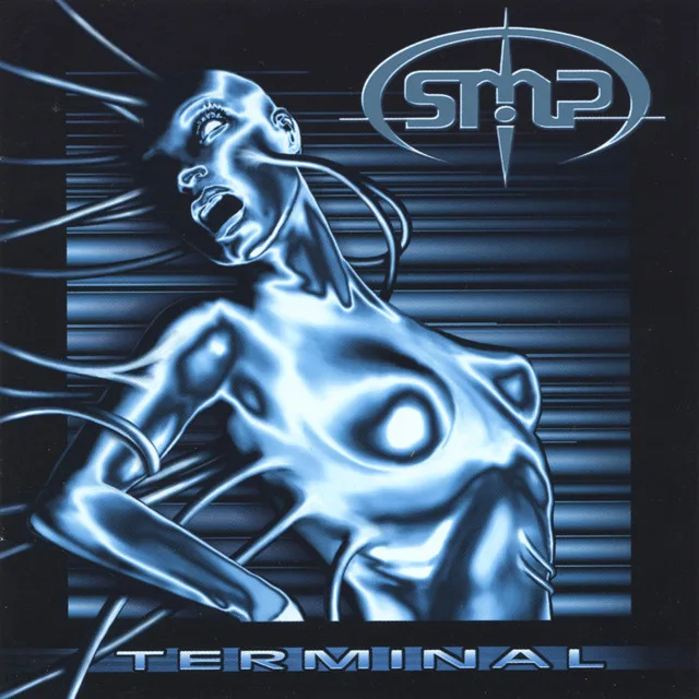 Official album cover art for the release Terminal by SMP