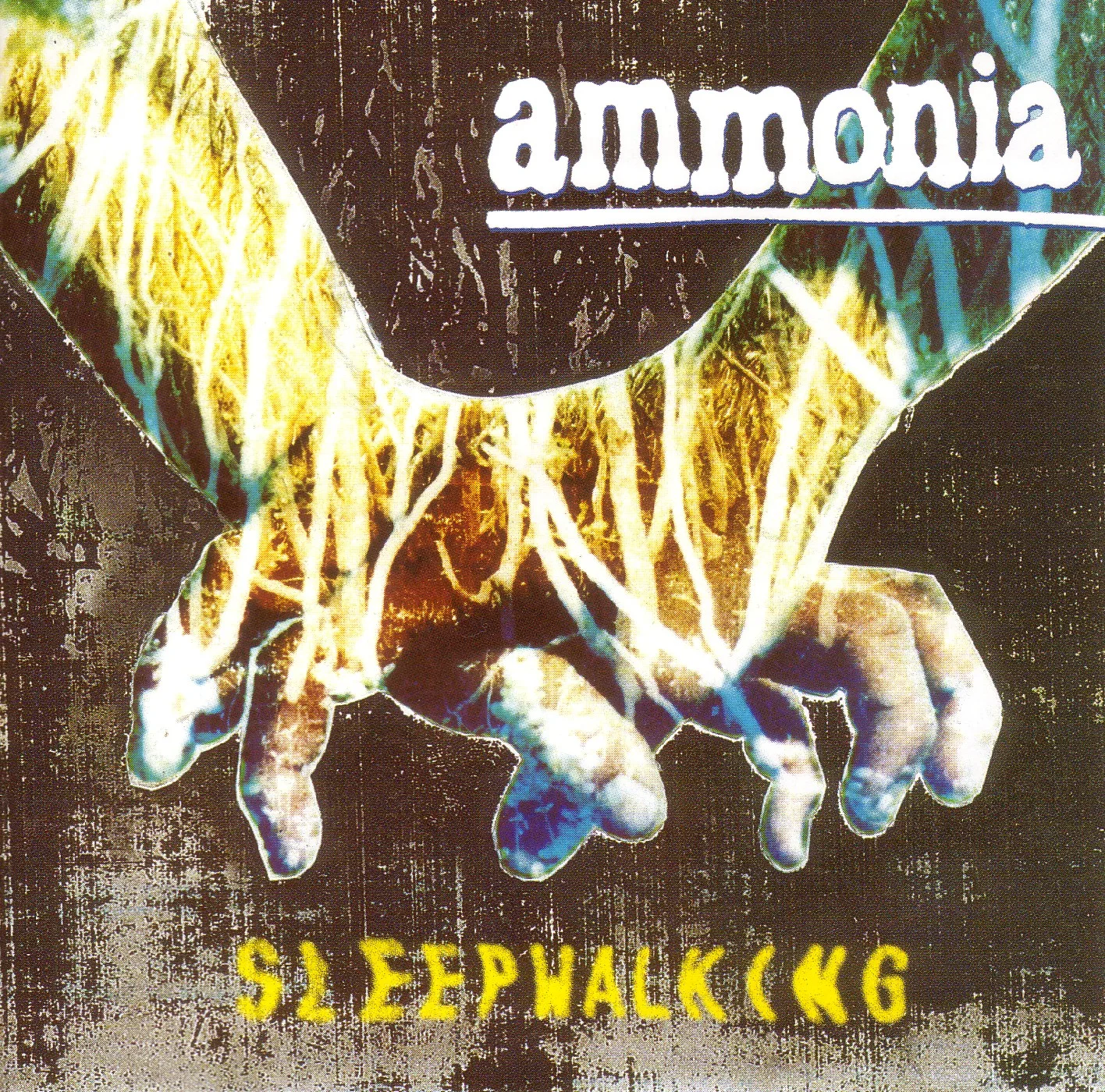Official album cover art for the release Sleepwalking by Ammonia