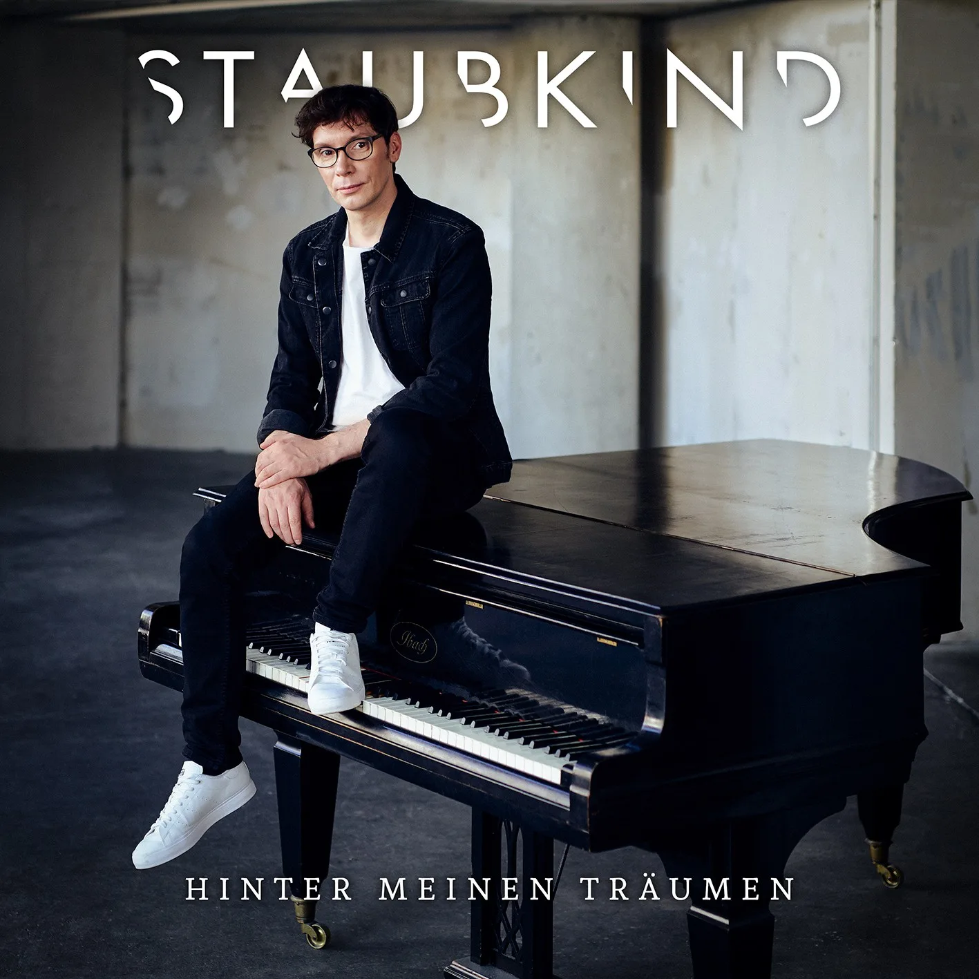 Official album cover art for the release Hinter meinen Träumen by Staubkind