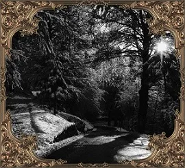 Official album cover art for the release Snow//Heritage by Chiral