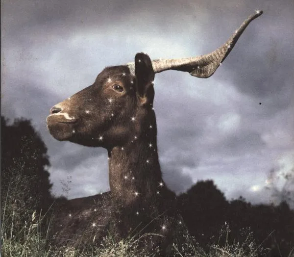 Official album cover art for the release La Belle Inutile by Tue‐Loup