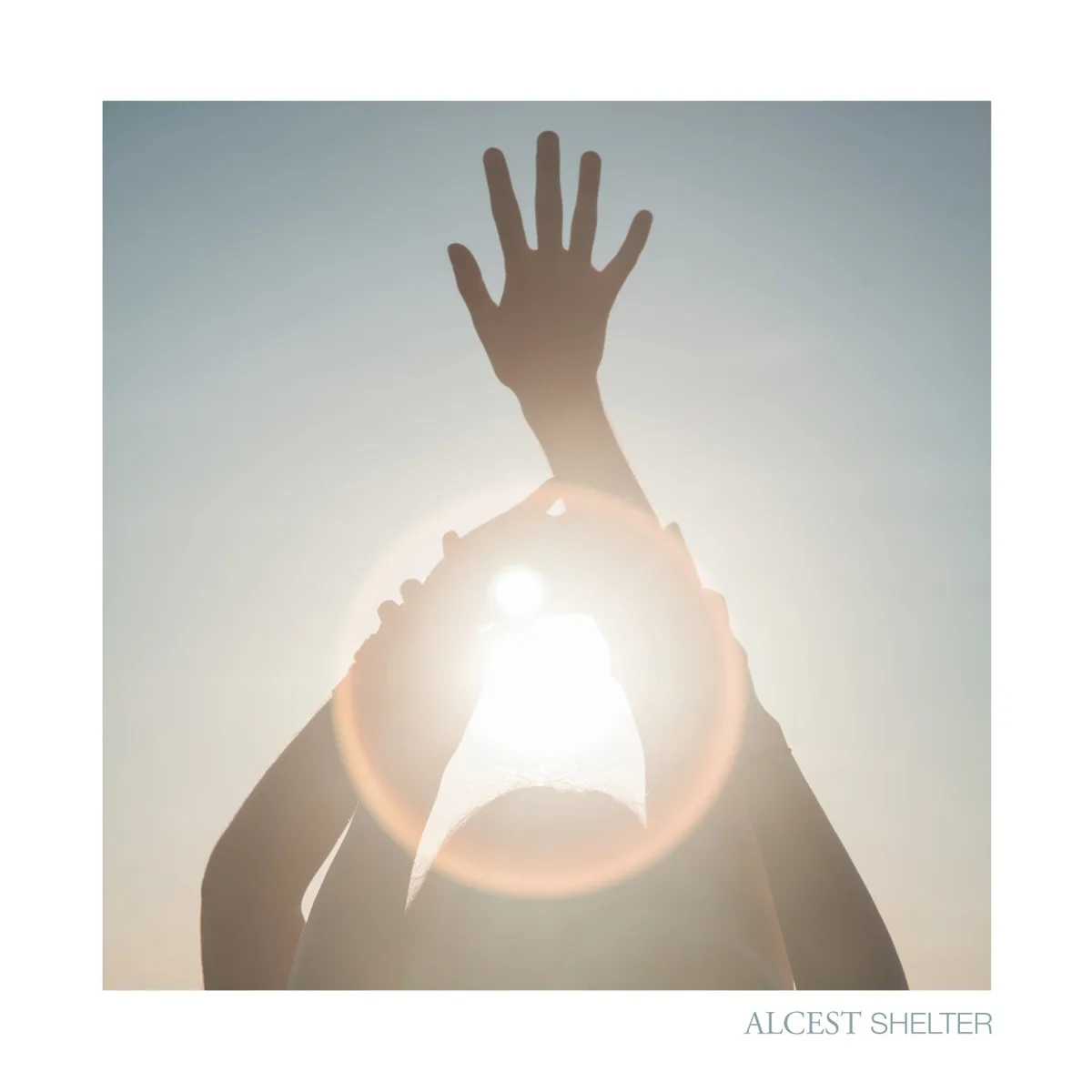 Official album cover art for the release Shelter by Alcest