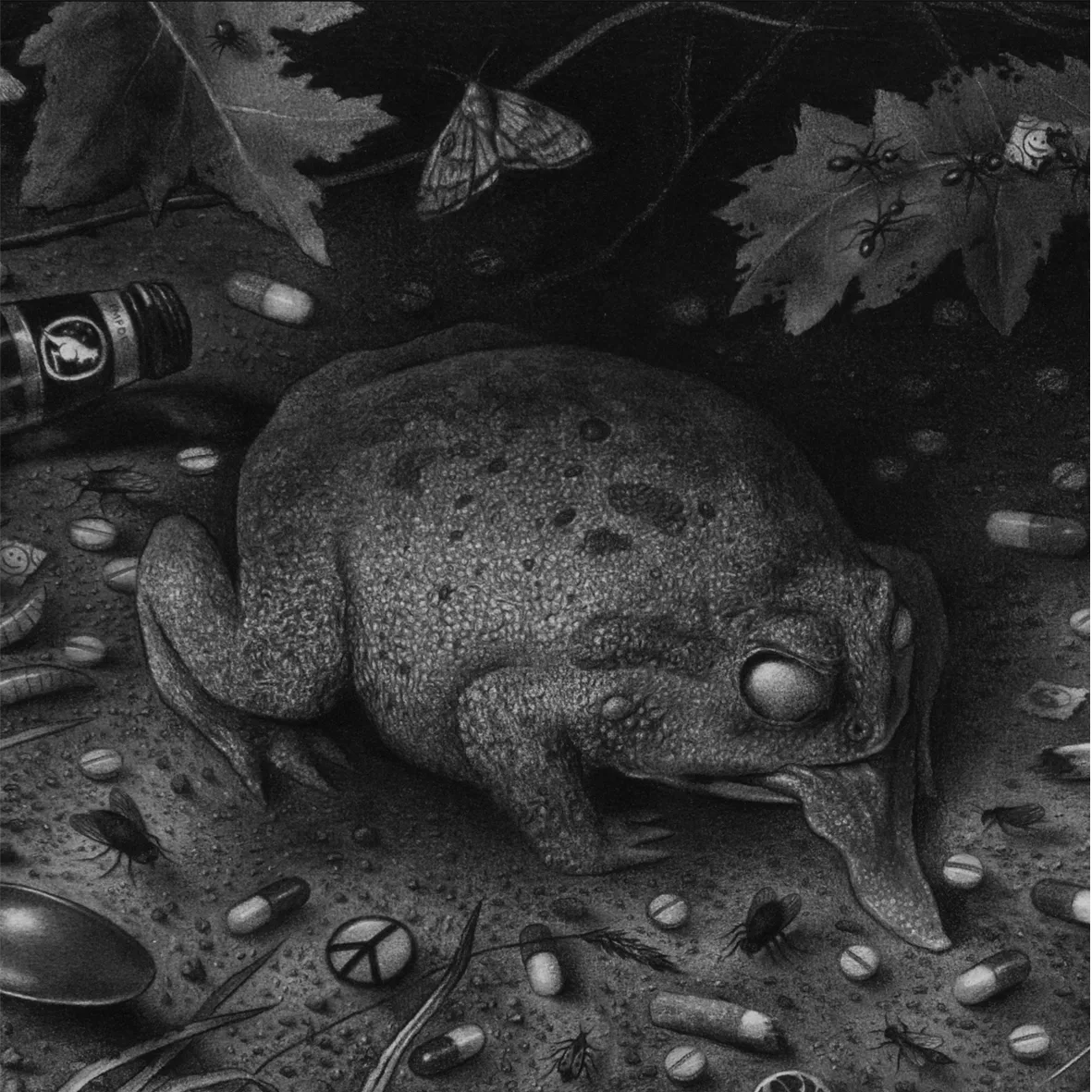 Official album cover artwork for Ført bak lyset by Tusmørke