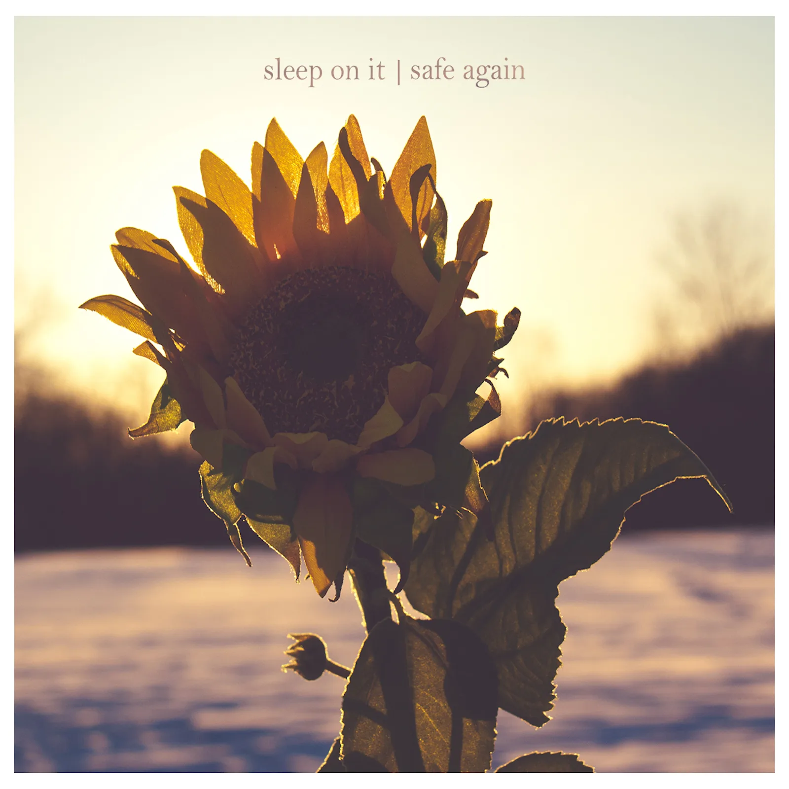 Official album cover art for the release Safe Again by Sleep On It