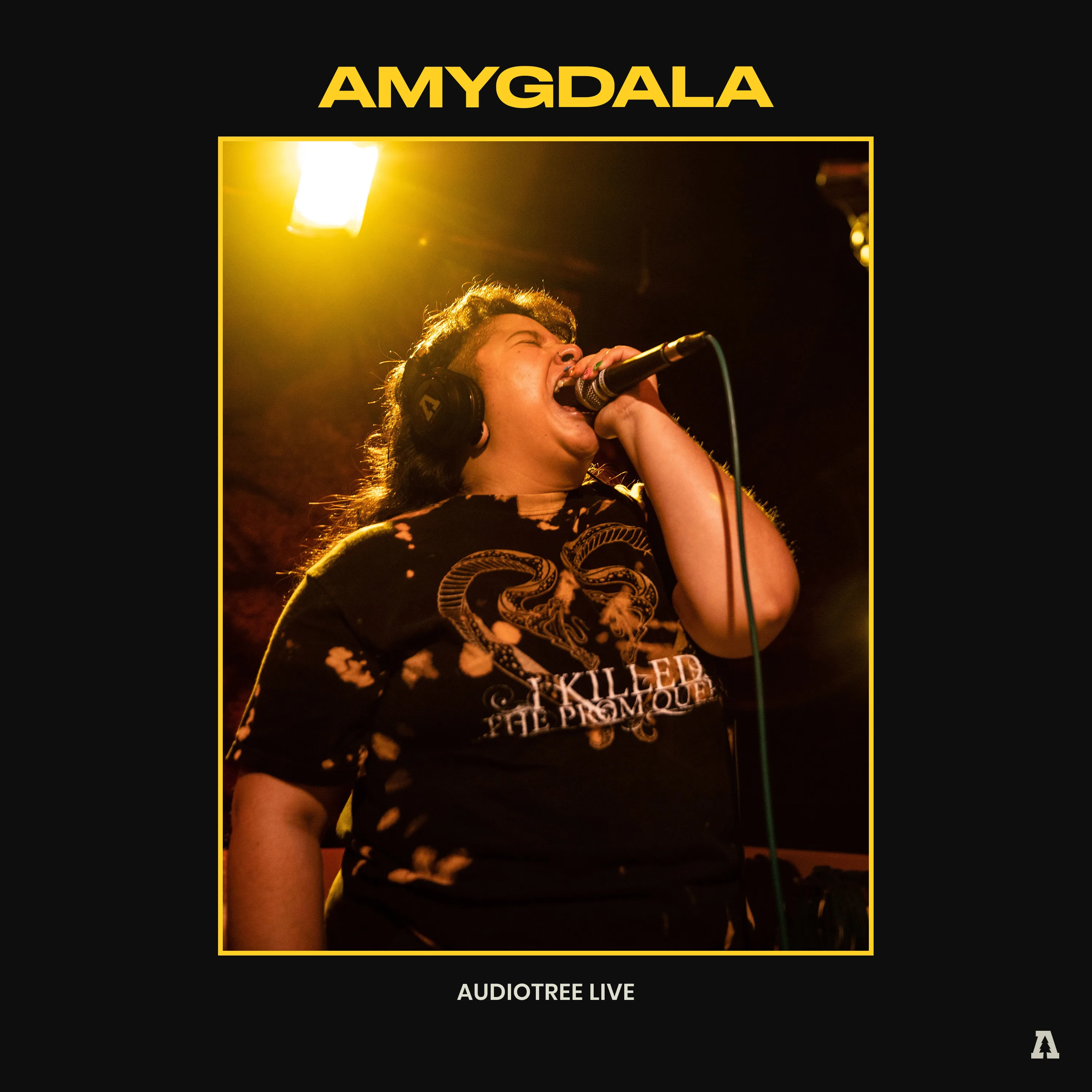 Official album cover art for the release Audiotree Live by Amygdala