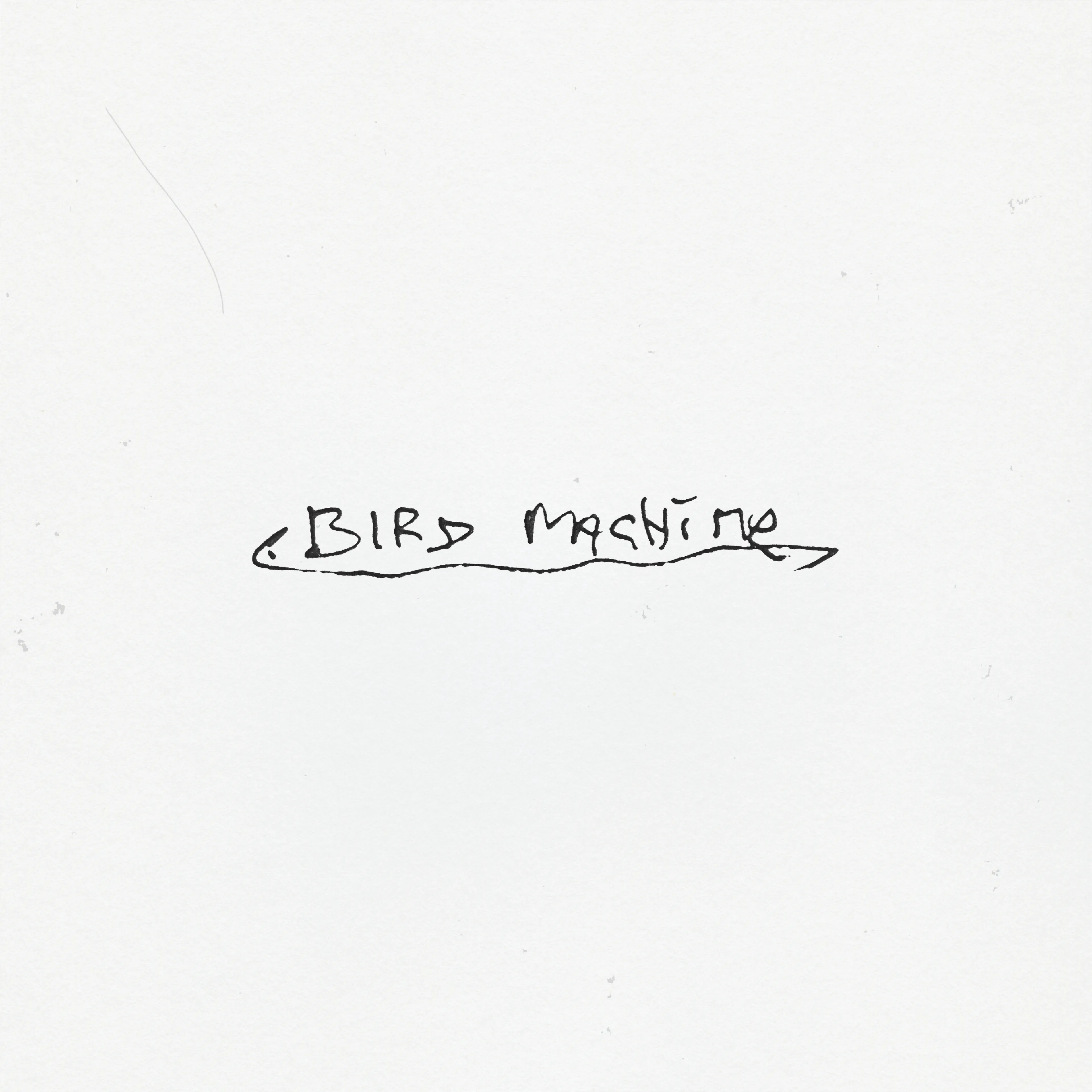 Official album cover art for the release Bird Machine by Sparklehorse
