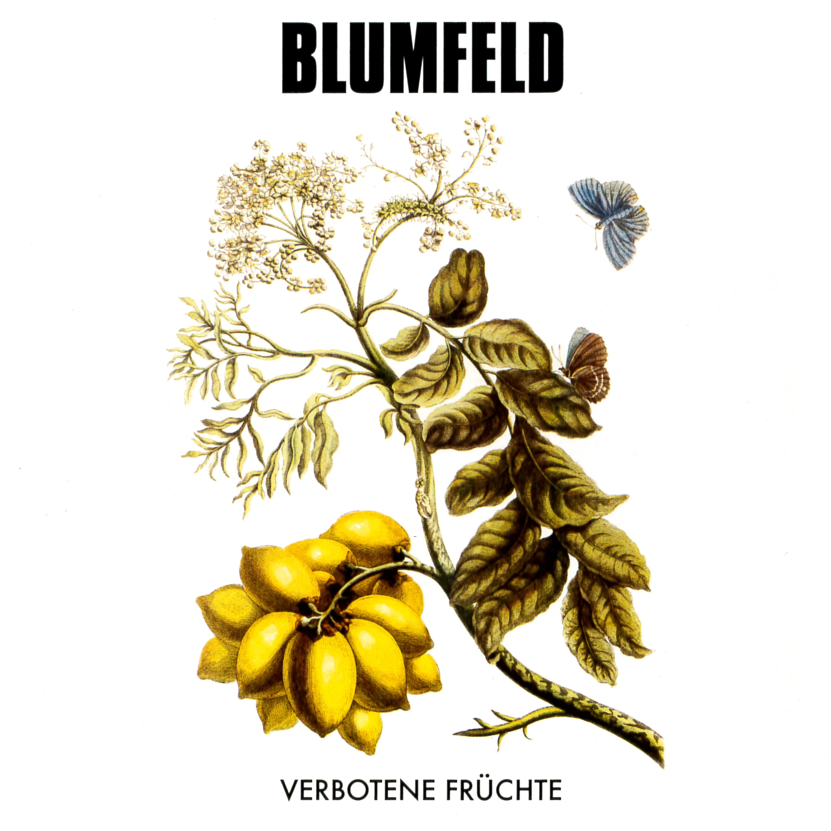 Official album cover art for the release Verbotene Früchte by Blumfeld