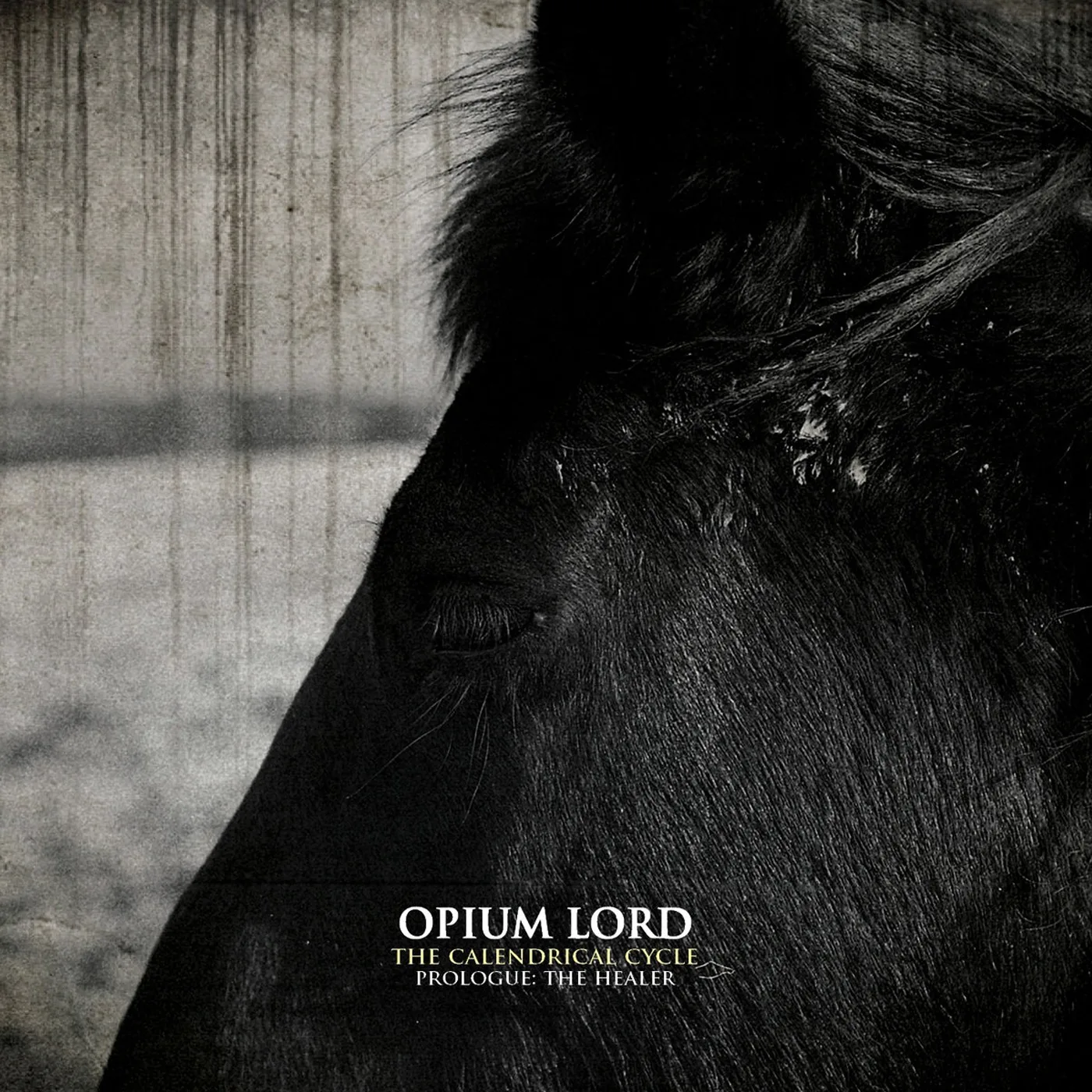 Official album cover art for the release The Calendrical Cycle - Prologue: The Healer by Opium Lord