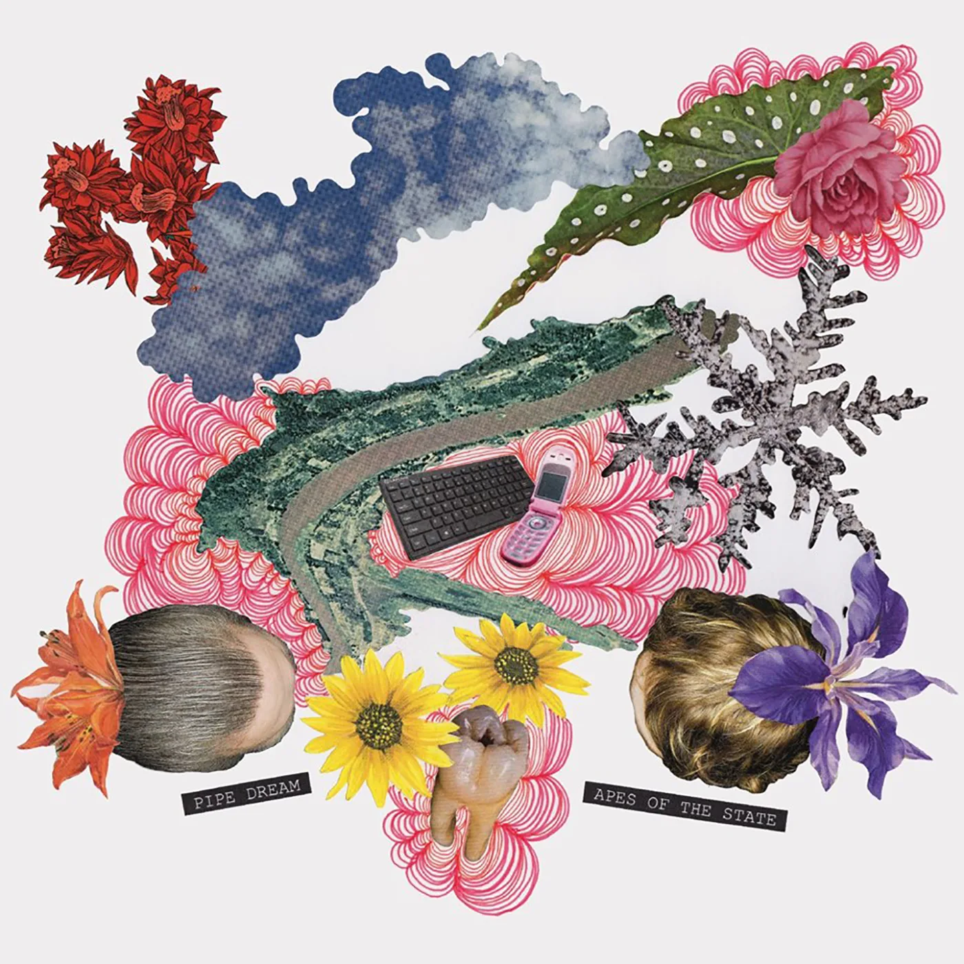 Official album cover art for the release Pipe Dream by Apes of the State