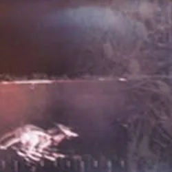 Ananda / Knut / Botch