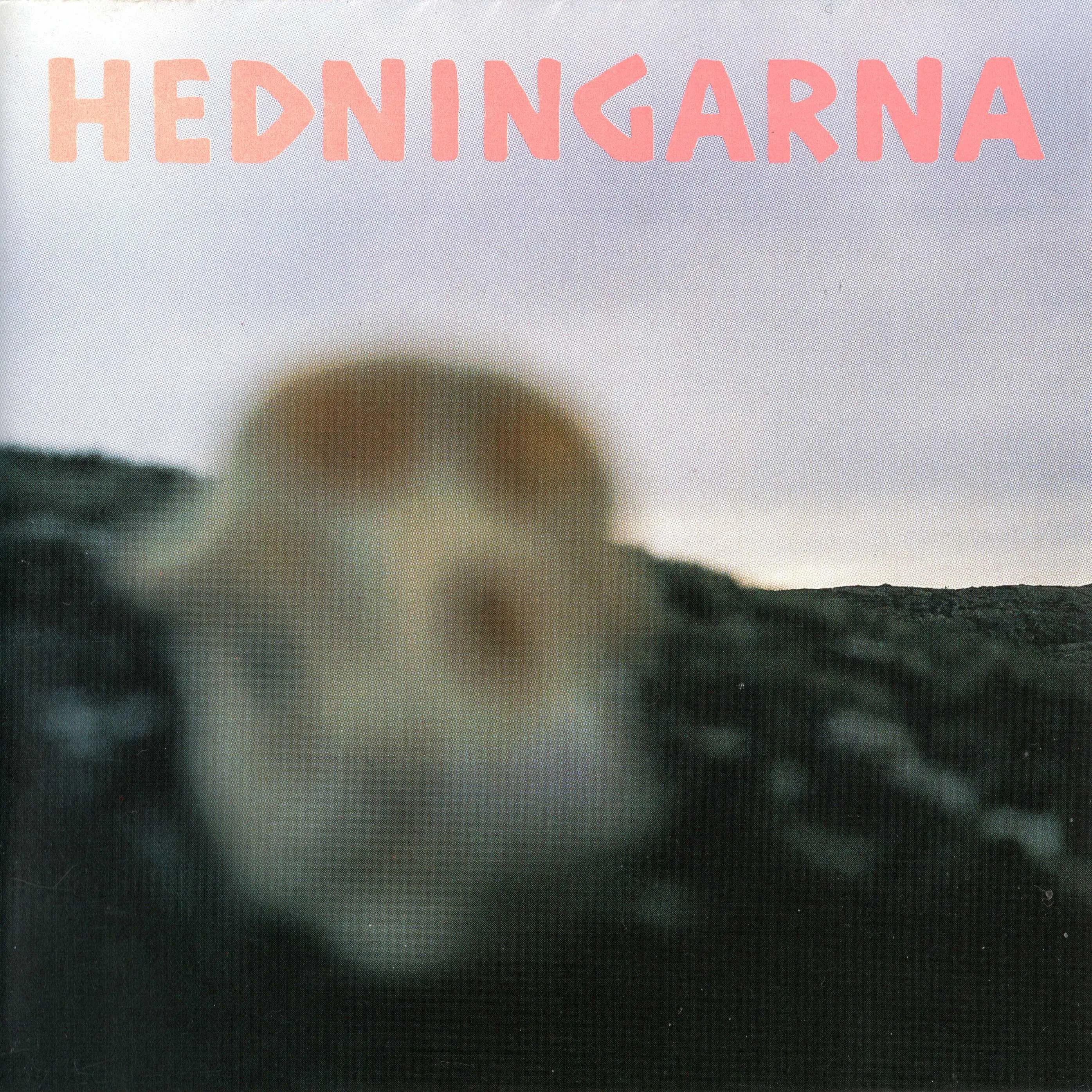 Official album cover art for the release Kaksi! by Hedningarna